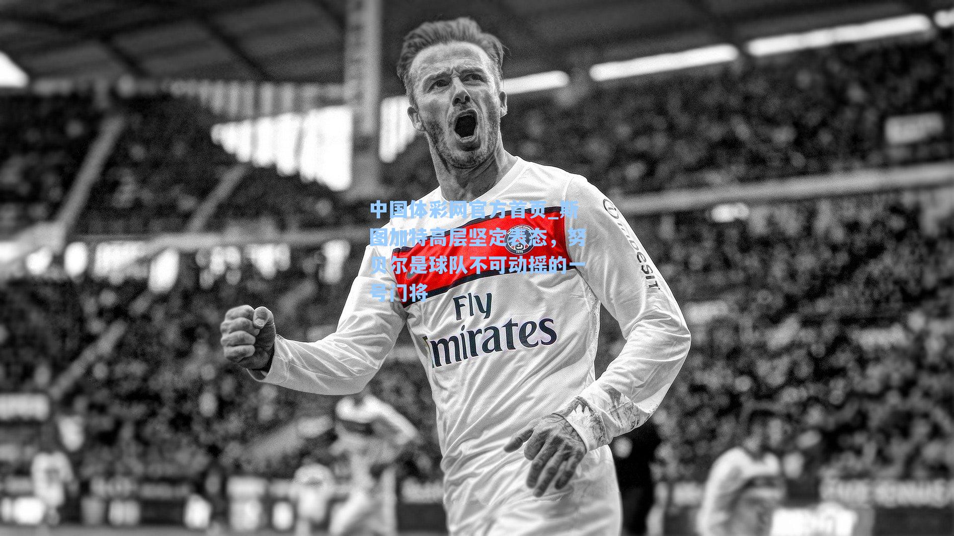 斯图加特高层坚定表态，努贝尔是球队不可动摇的一号门将